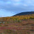 в какой природной зоне расположен кольский полуостров. phoca thumb s osen 2011 019. в какой природной зоне расположен кольский полуостров фото. в какой природной зоне расположен кольский полуостров-phoca thumb s osen 2011 019. картинка в какой природной зоне расположен кольский полуостров. картинка phoca thumb s osen 2011 019. 1. Географическое положение.