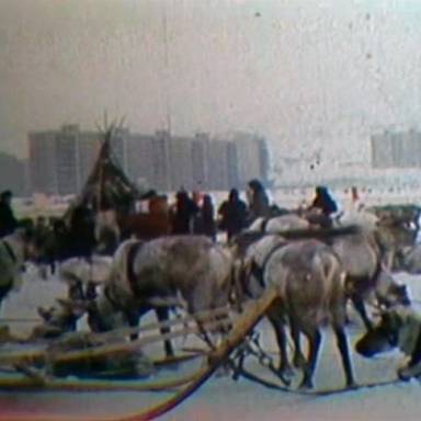 Гонки на оленьих упряжках. Праздник Севера. Мурманск . 1986 год