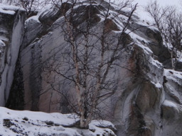 Фото Кузьменко Александра
