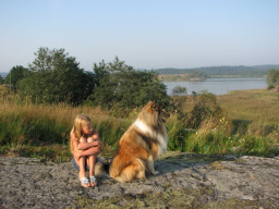 collie-keys039