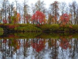 Краски осени