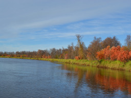 Краски осени