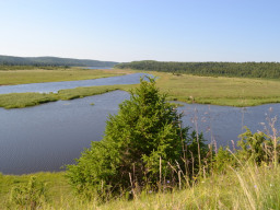 Река Варзуга