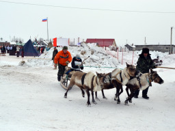 Саамские праздники