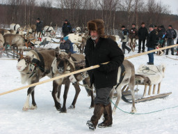 Саамские праздники