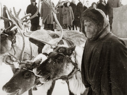 Ретро &raquo; Ловозерo - ретро &raquo; День оленевода. Село Ловозеро. 1970 год