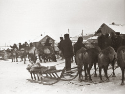 День оленевода. Село Ловозеро. 1970 год