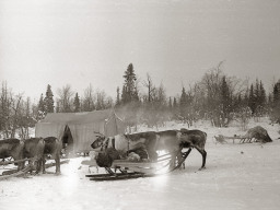 День оленевода. Село Ловозеро. 1970 год