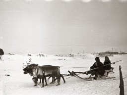 День оленевода. Село Ловозеро. 1970 год