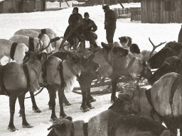 День оленевода. Село Ловозеро. 1970 год