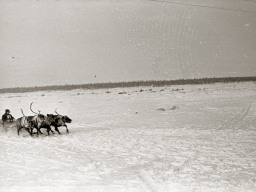 День оленевода. Село Ловозеро. 1970 год