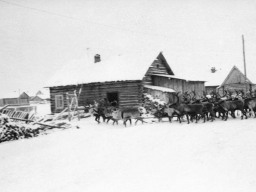 Село Ловозеро, 1956 год