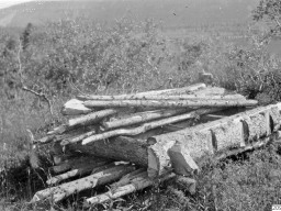 1910 год, с.Ловозеро. Фотограф Gustaf Hallström