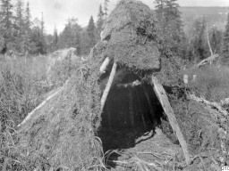 1910 год, с.Ловозеро. Фотограф Gustaf Hallström