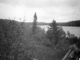 1910 год, с.Ловозеро. Фотограф Gustaf Hallström