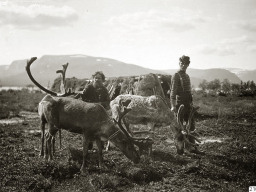 1910 год, с.Ловозеро. Фотограф Gustaf Hallström