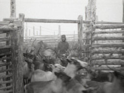 Село Каневка. 1980-е