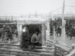 Село Каневка. 1980-е