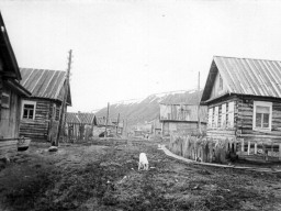 Село Поной