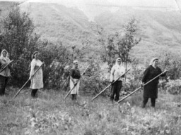 Село Поной. На колхозной пожне, сенокосная страда