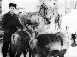В селе Поной