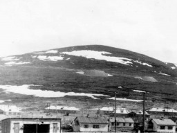 Посёлок Ильма, предположительно 1963 г.