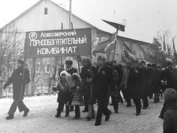 Ревда молодая