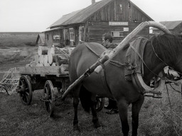 Село Сосновка 1980-х