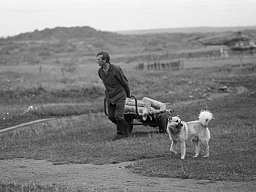 Село Сосновка 1980-х