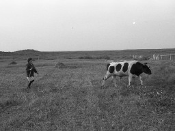 Село Сосновка 1980-х