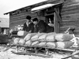 Отоварка продуктами перед выездом в тундру. В.Кузнецов