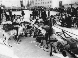 На Празднике севера и Дне оленевода в Ловозере. 198x г. 