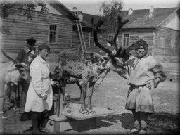 Оксино