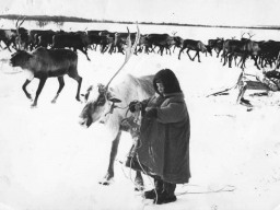 Ловозерье