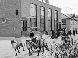 Ловозеро. Декабрь 1970 года