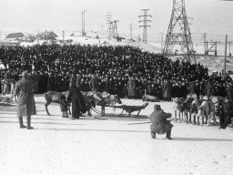 Праздник Севера. Мурманск. 1955 год.