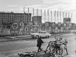 Оленевод с упряжкой на улице в селе Ловозеро. 1972 год
