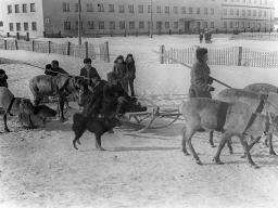 Ловозеро. Занятие в кружке &quot;Юный оленевод&quot;. 1970-е