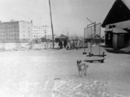 Ловозеро 1970х. Справа маг. "Культовары". За речкой дома Вокуева 1 (Колхозная 1) и Вокуева 9 (Колхозная 9)