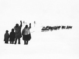 До свидания! Февраль 1982 г.