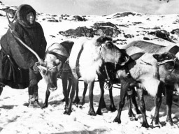 Иван Гаврилович Артемьев. Участник Северного спортивного праздника, пастух колхоза Ловозерского района "Тундра". г.Мурманск, 1937 год