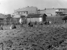 На приусадебном участке Ловозерской средней школы. 1980-е