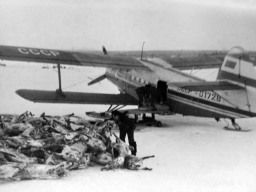 Грузоперевозки самолетом АН-2