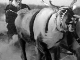 Канев Семен Яковлевич, неоднократный победитель Праздника Севера. Ловозеро-1980