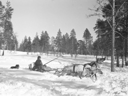 Оленевод-саами из села Ловозеро. 1970 год