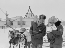 Ловозеро.Почтальон Ирина Волкова доставляет почту оленеводу Юрию Филиппову. 1987 год