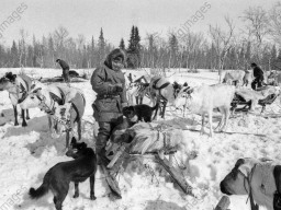 Оленеводы Ловозерского района пасут оленей. 1981 год