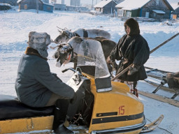 Село Ловозеро - областной центр оленеводства. 1977 г.
