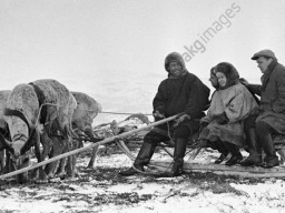 Композитор Александра Пахмутова (в центре) на санях с оленеводами. 1967 год