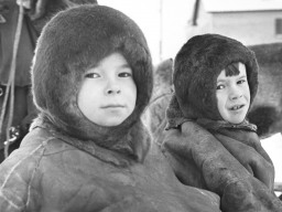Дети в воскресный день катаются на собачьих упряжках. Ловозеро. 1966 год